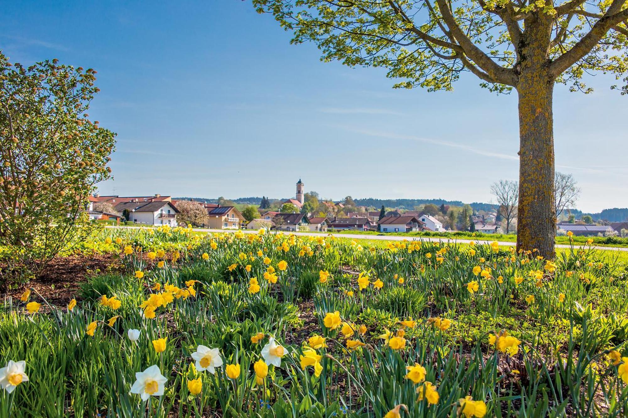 Chalet An Der Brunnader - Ihr Perfekter Rueckzugsort In Der Bayerischen Toskana บัดเบียร์นบาค ภายนอก รูปภาพ